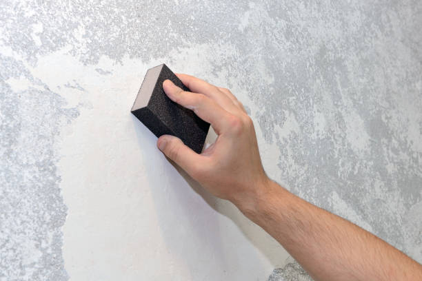 Best Mold Remediation for Healthcare Facilities  in White Cloud, MI