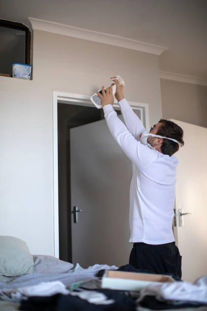 Best Asbestos and Lead Testing During Mold Inspection  in White Cloud, MI