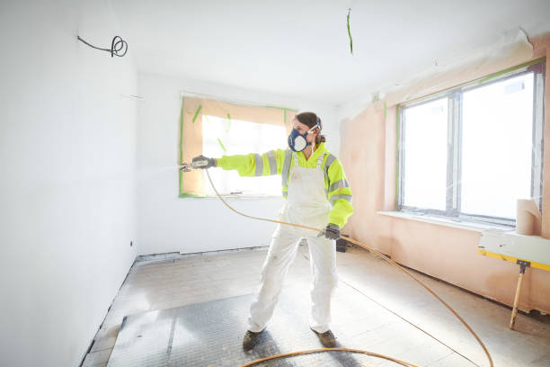 Best Mold Odor Removal Services  in White Cloud, MI