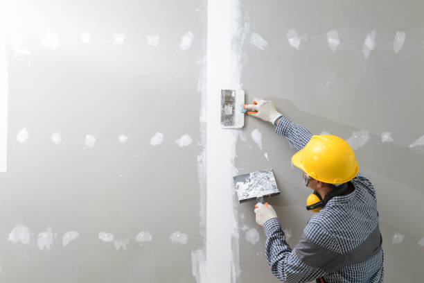 Best Emergency Mold Remediation  in White Cloud, MI