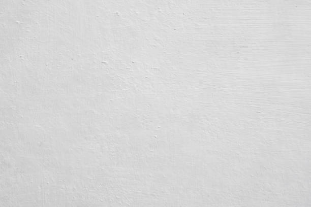 Best Black Mold Removal  in White Cloud, MI