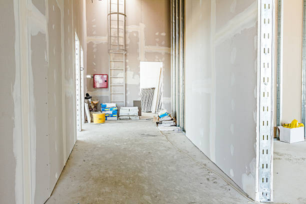 Mold Documentation for Insurance Claims in White Cloud, MI