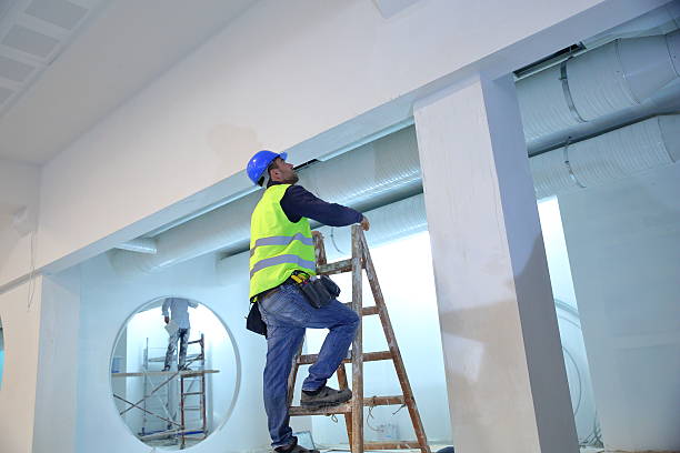 Best Commercial Mold Inspection  in White Cloud, MI