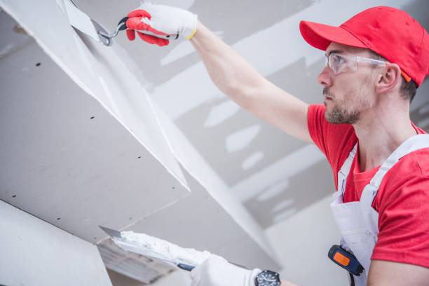 Best Mold Prevention Services  in White Cloud, MI