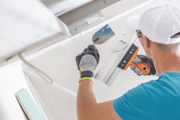 Best Mold Odor Removal Services  in White Cloud, MI